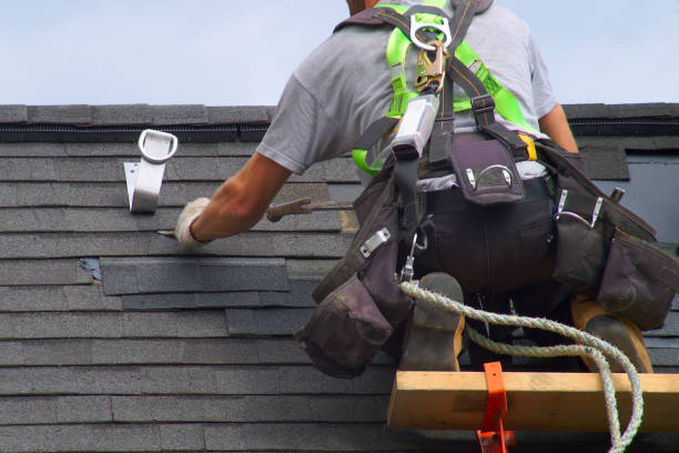 Best Roof Repair Services  in Jonesville, MI