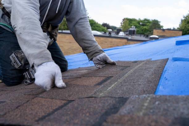 Best Residential Roofing Contractor  in Jonesville, MI