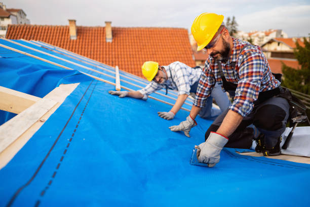 Best Commercial Roofing Services  in Jonesville, MI