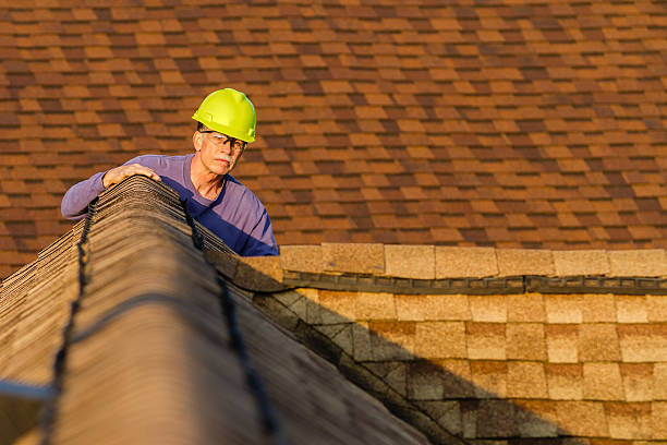 Best Flat Roof Repair Services  in Jonesville, MI