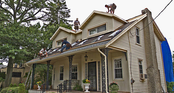 Best Roofing Contractor Near Me  in Jonesville, MI
