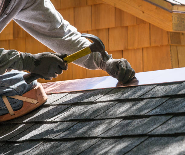 Best Roof Gutter Cleaning  in Jonesville, MI